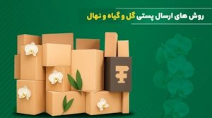لجستیک و حمل‎‌و‎نقل-چگونه گیاهان، گل و نهال را با پست ارسال و بسته‌بندی کنیم؟ + تجارب شخصی