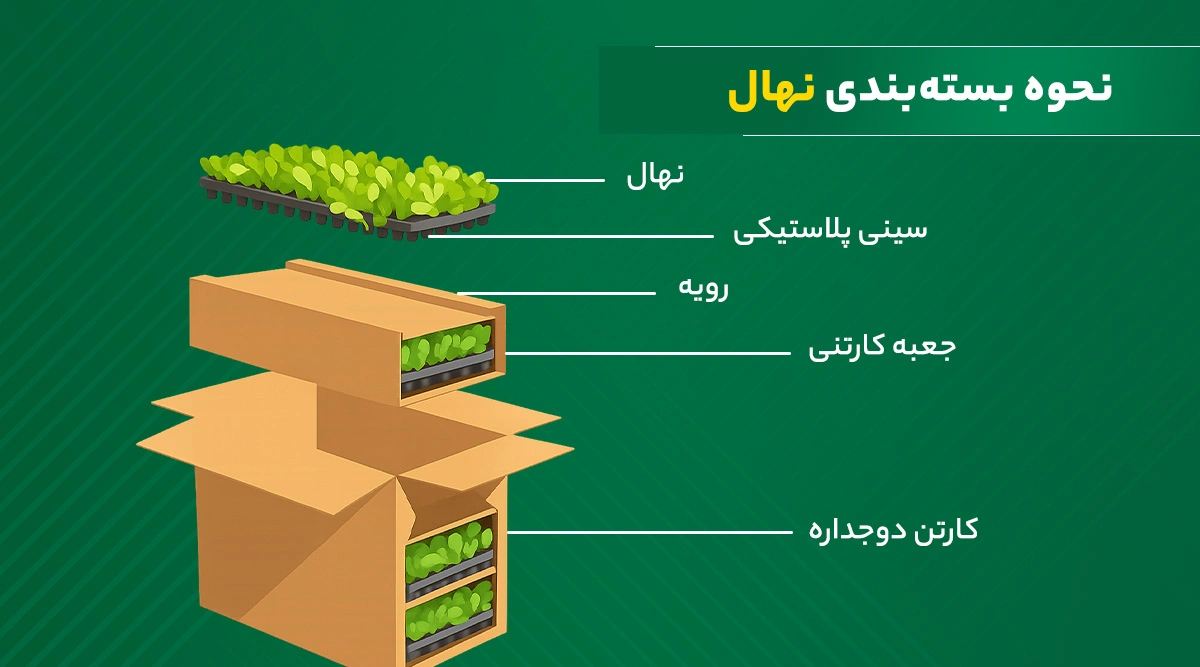 نحوه بسته‌بندی نهال