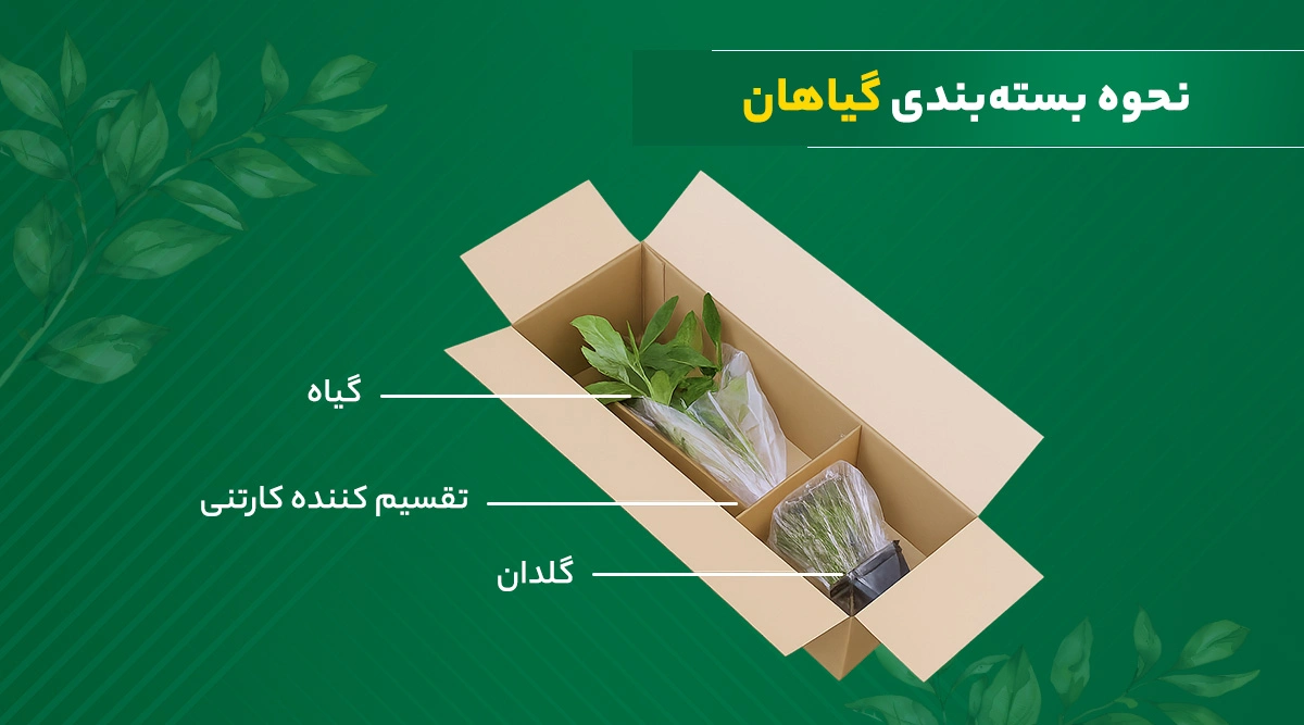 نحوه بسته‌بندی گیاهان
