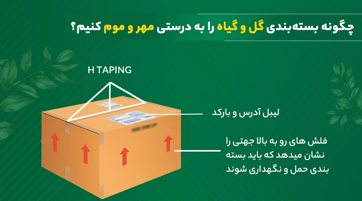 چگونه بسته‌بندی گل و گیاه را به درستی مهروموم کنیم